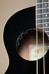 aNueNue MBS18E Black Cedar Mahogany Acoustic Bass Series