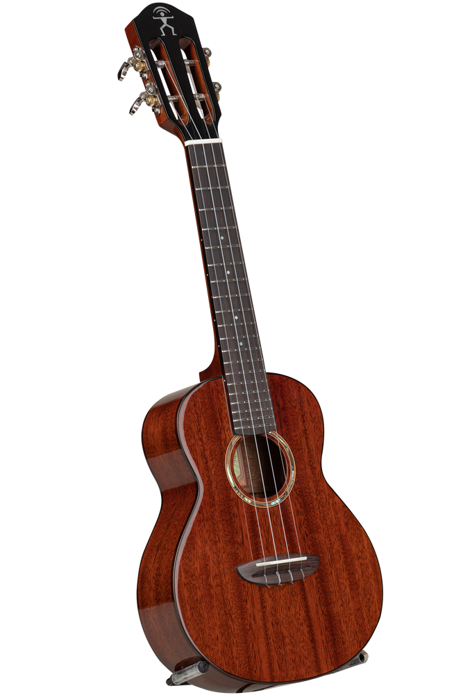 aNueNue AMM2 African Mahogany Concert Ukulele