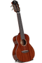 aNueNue AMM2 African Mahogany Concert Ukulele