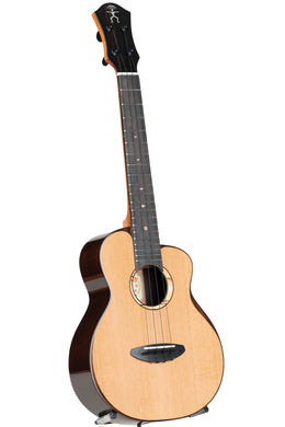 Acoustic guitar with shop birds on frets
