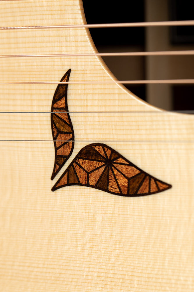 Acoustic Future Series LS800 Moon Spruce / Cocobolo Full Size Guitar (with Yosegi Zaiku Marquetry)