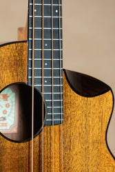 aNueNue MBS32E Hawaiian Koa Taiwan Acacia Acoustic Bass
