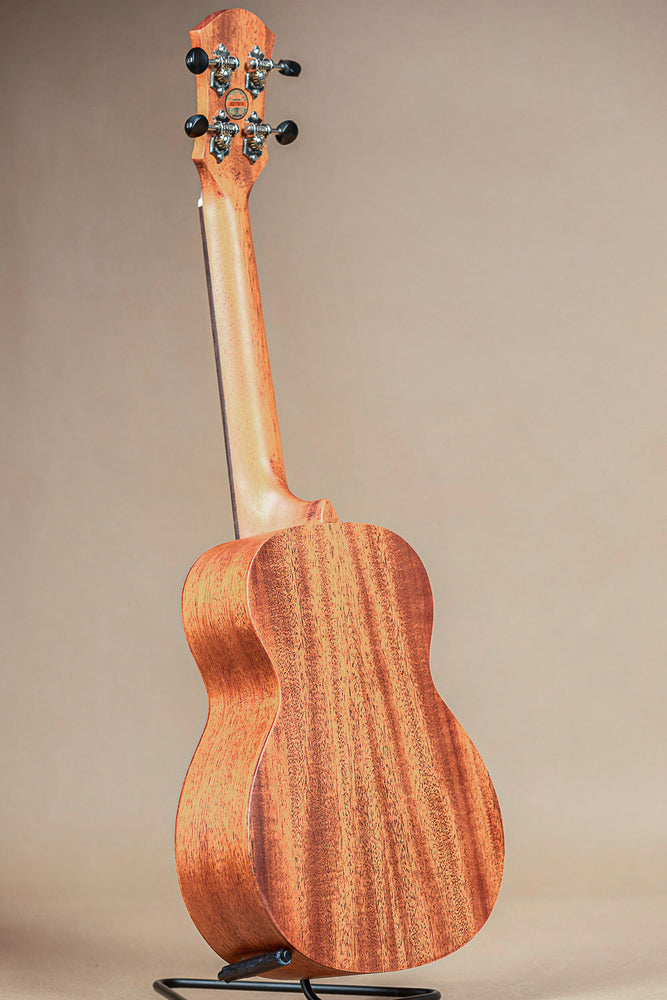 aNueNue PAS2 Papa All Solid Mahogany Concert Ukulele