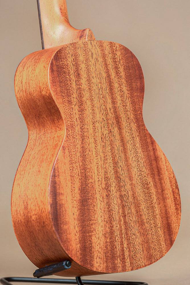 aNueNue PAS2 Papa All Solid Mahogany Concert Ukulele
