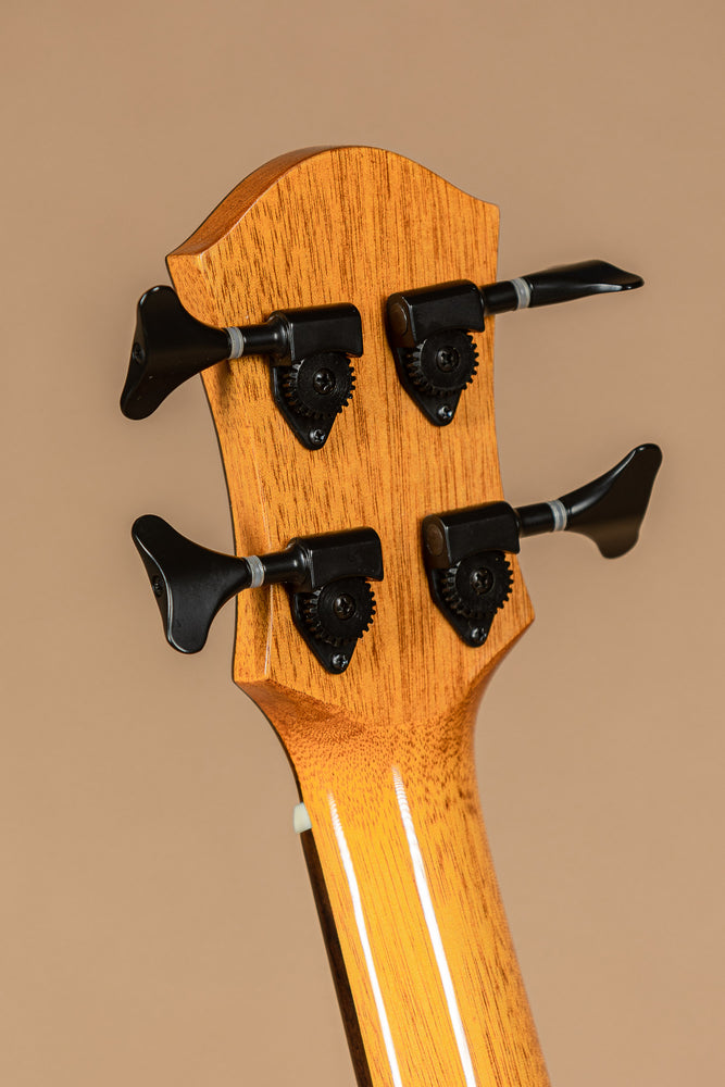 aNueNue MBS14E Cedar Mahogany Acoustic Bass Series