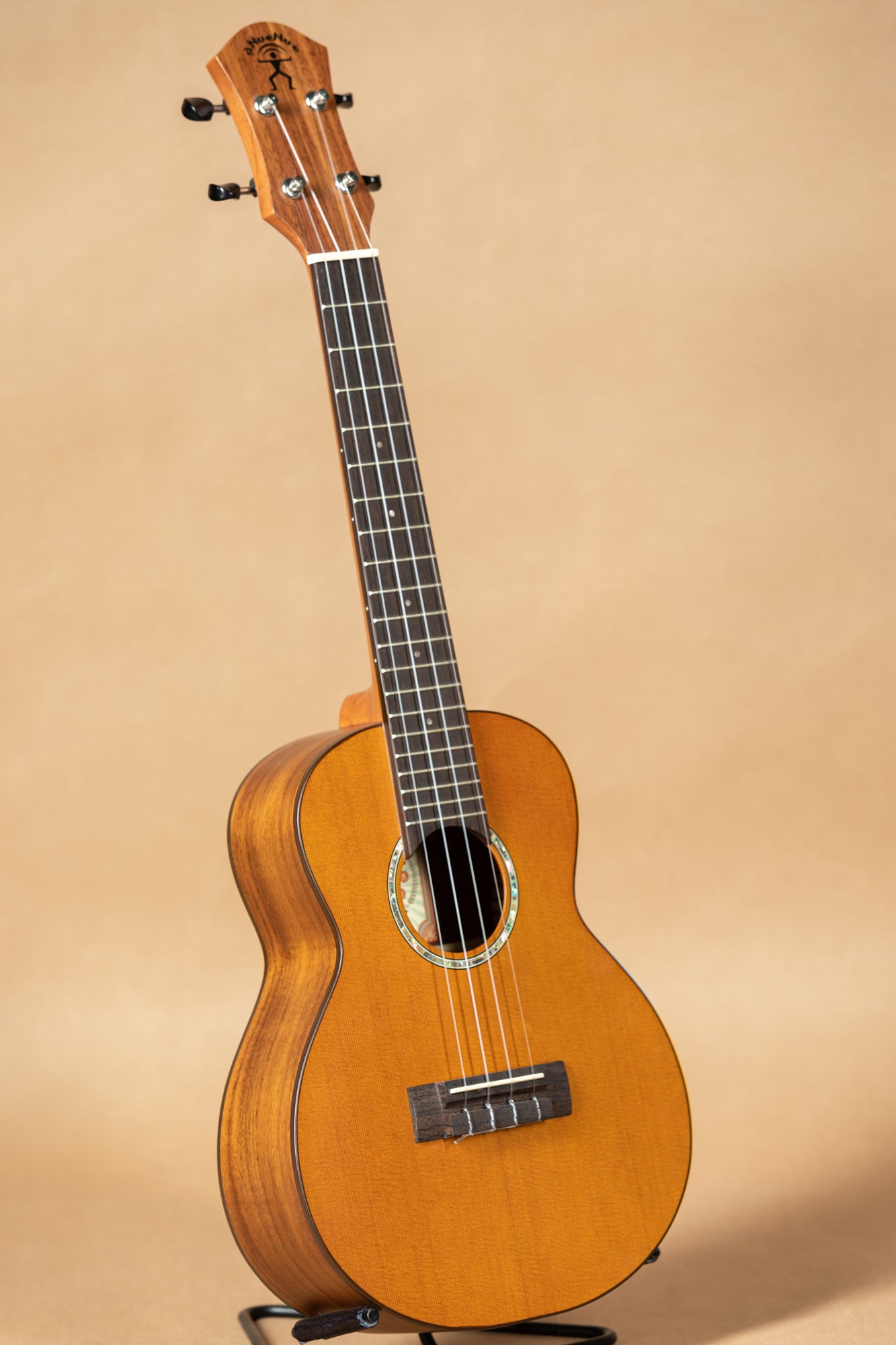 aNueNue AMM2 African Mahogany Concert Ukulele