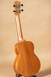 aNueNue Hawaiian Dream Series C30 All Solid African Mahogany Concert Ukulele