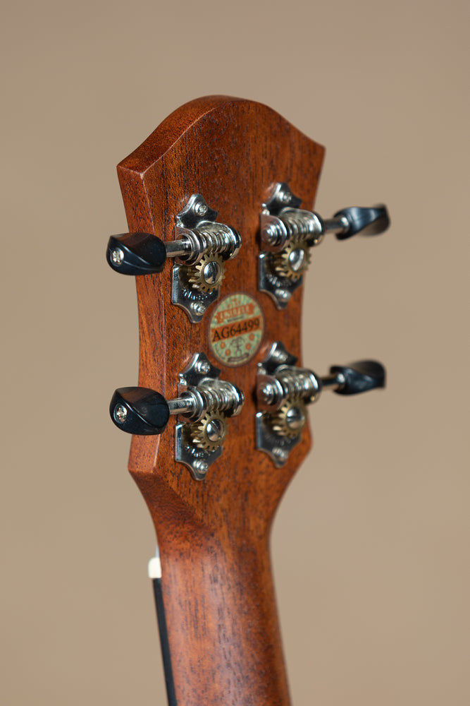 aNueNue PAS1 Papa All Solid Mahogany Soprano Ukulele