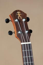 aNueNue PAS2 Papa All Solid Mahogany Concert Ukulele