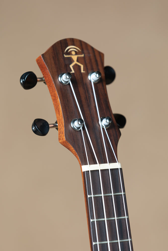 aNueNue PAS2 Papa All Solid Mahogany Concert Ukulele