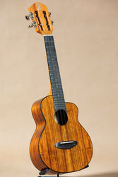 aNueNue UC1K Koa Bird Series Concert Ukulele