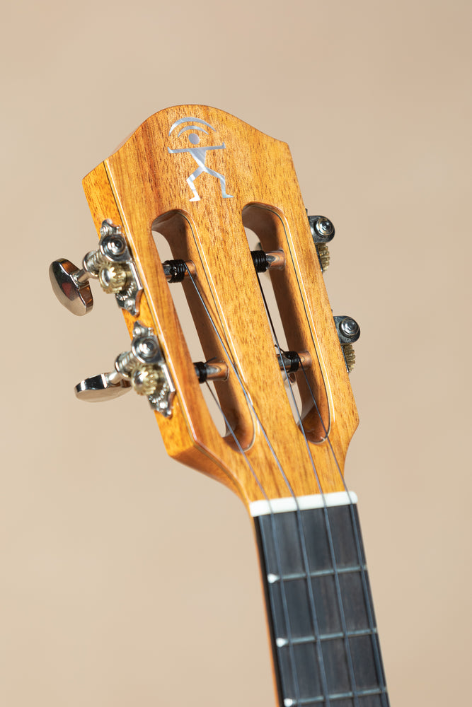 aNueNue UC1K Koa Bird Series Concert Ukulele