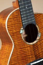 aNueNue UC5K Bird Series Koa Concert Ukulele