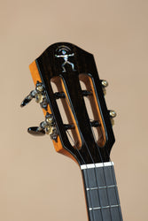 aNueNue UC5K Bird Series Koa Concert Ukulele