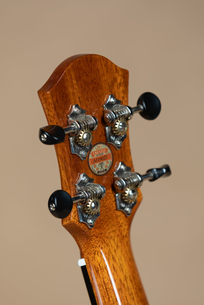 aNueNue US1K Koa Bird Series Soprano Ukulele