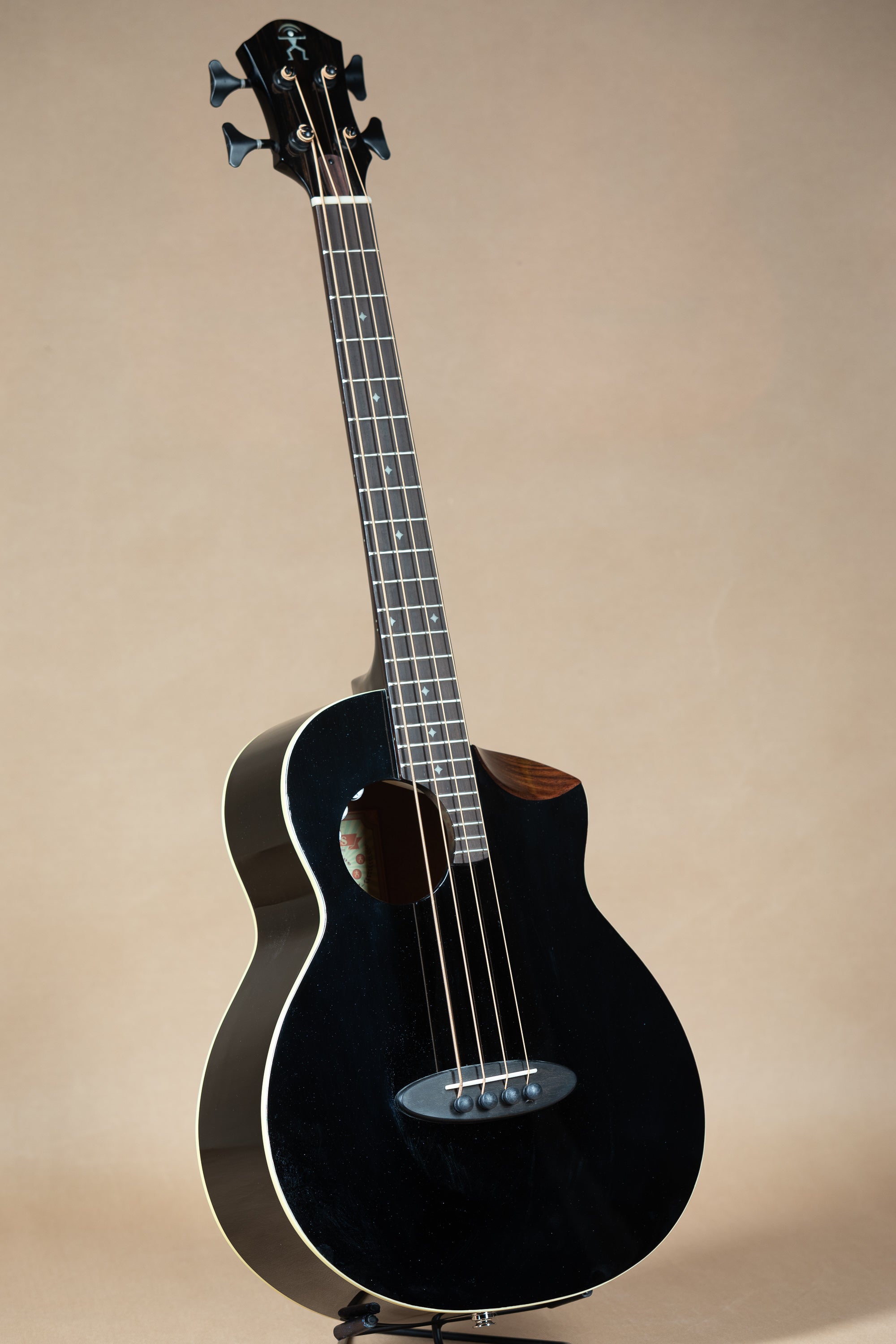 aNueNue MBS18E Black Cedar Mahogany Acoustic Bass Series