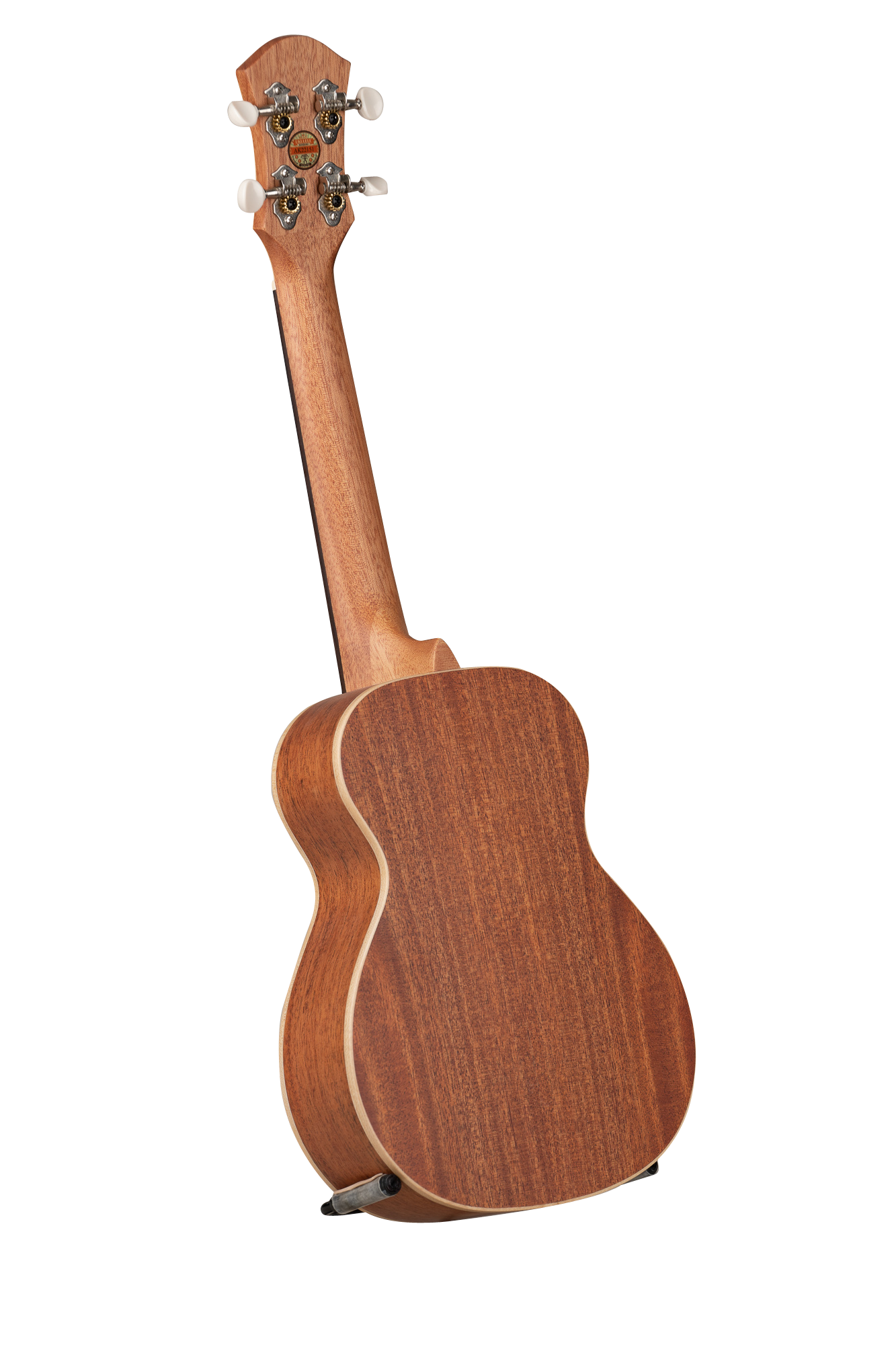 Artist series Ariel's Cactus Solid Spruce top Conce