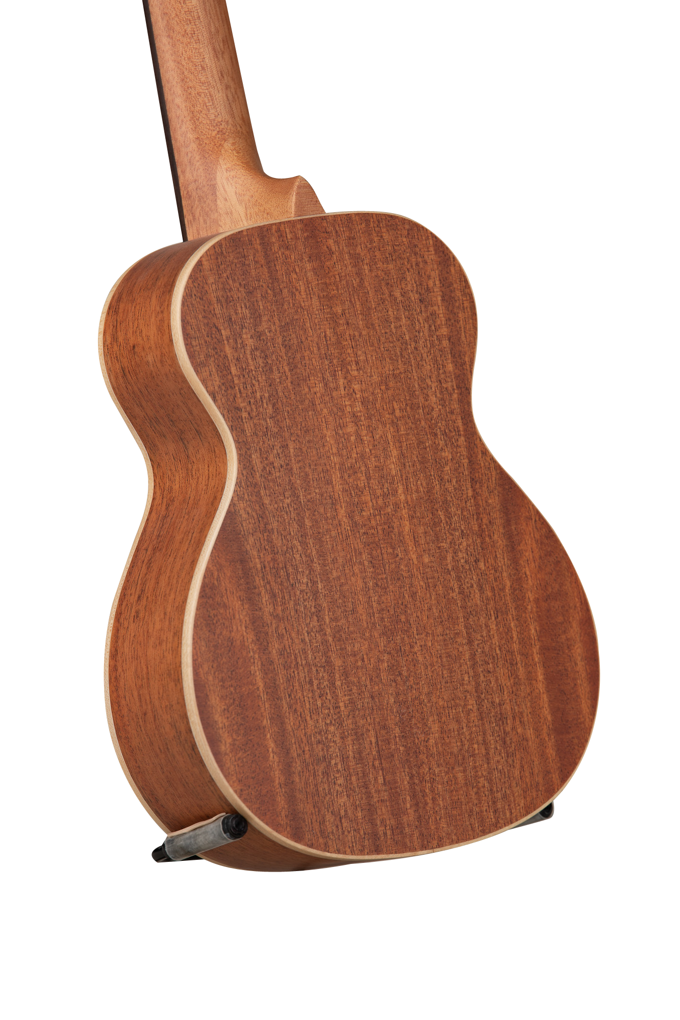 Artist series Ariel's Cactus Solid Spruce top Conce