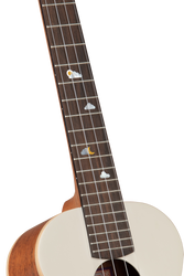 Artist series "Ariel's Cactus" Solid Spruce top Concert Ukulele