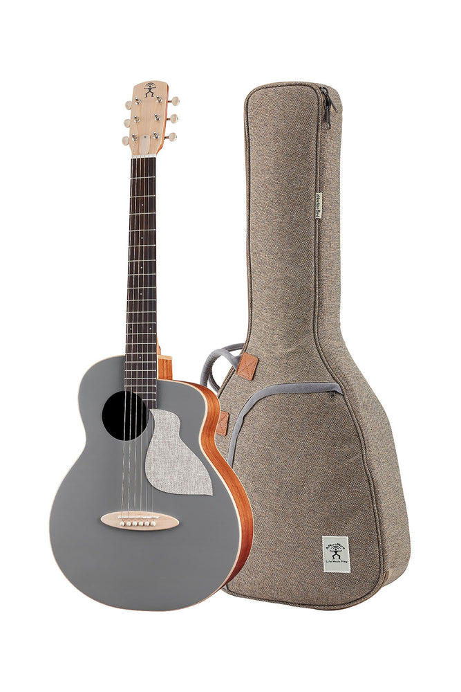 aNueNue MC10-QS Color Series Quiet Shade Guitar