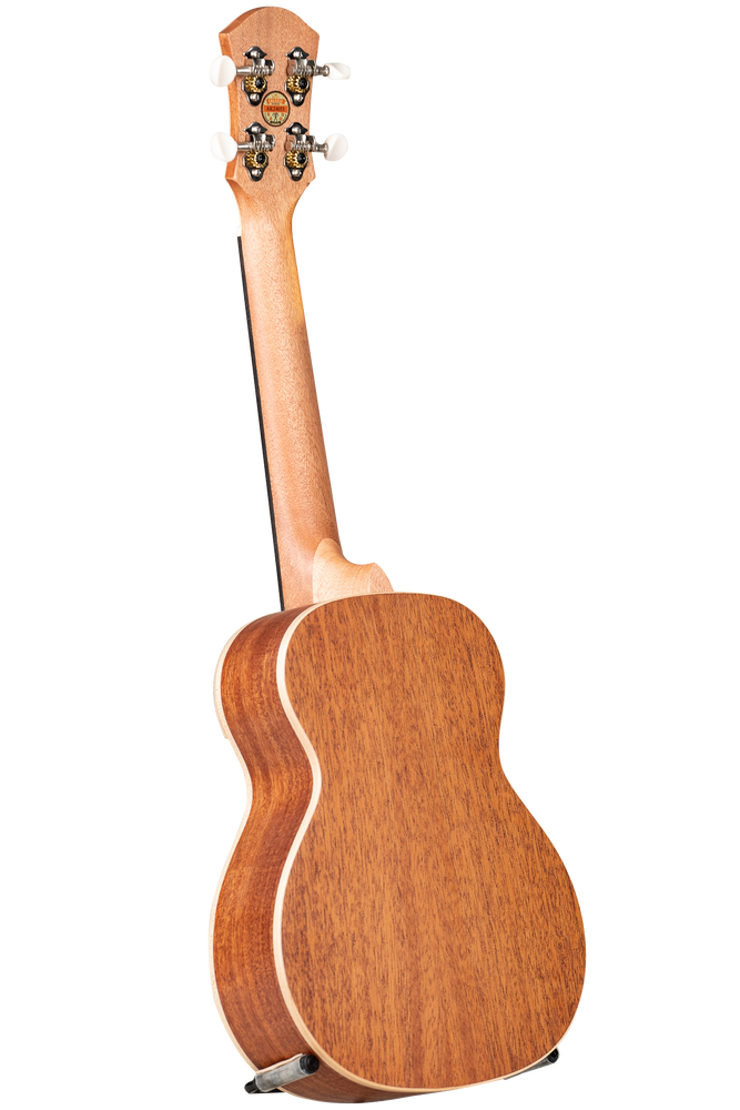 aNueNue UC10-GG Color Series Golden Glow Concert Ukulele