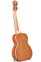 aNueNue UC10-LC Color Series Living Coral Concert Ukulele